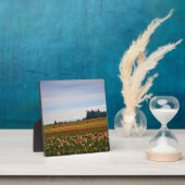 Tulip Field met Mt. Hood, Oregon Fotoplaat (Insitu)