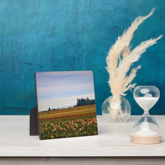 Tulip Field met Mt. Hood, Oregon Fotoplaat (Insitu)
