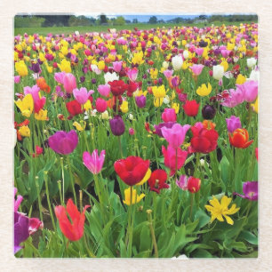 Tulip Field, Oregon Glazen Onderzetter