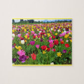 Tulip Field, Oregon Legpuzzel (Horizontaal)
