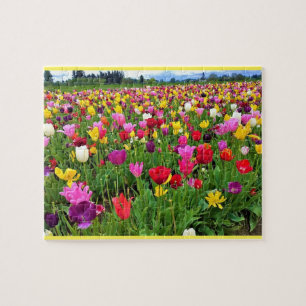 Tulip Field, Oregon Legpuzzel