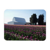 Tulip Fields Acryllic print Magneet (Horizontaal)