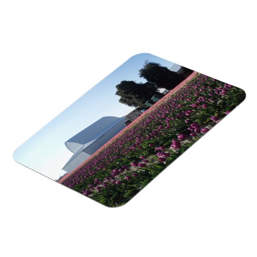 Tulip Fields Acryllic print Magneet (Linkerzijde)
