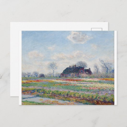 Tulip Fields op Sassenheim door Claude Monet Briefkaart (Voorkant / Achterkant)