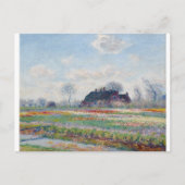 Tulip Fields op Sassenheim door Claude Monet Briefkaart (Voorkant)