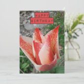  Tulip Floral Birthday Kaart (Staand voorkant)