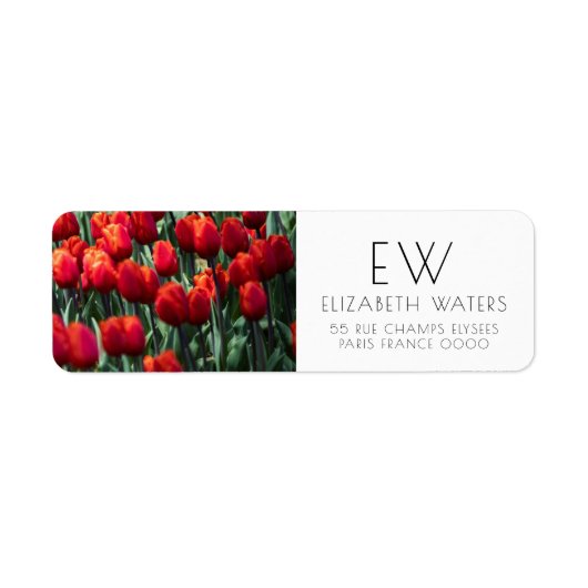 TULIP FLOWER FOTOGRAPH RETURN ADRES ETIKETTERS ETIKET (Voorkant)