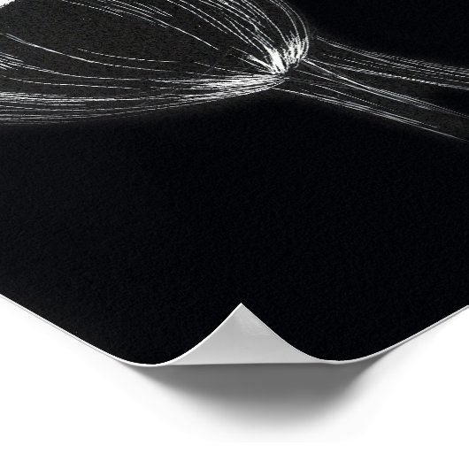 Tulip Garden Black White Scratchboard Art Poster (Hoek)