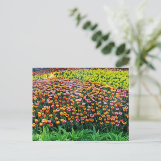 Tulip Garden Briefkaart (Staand voorkant)