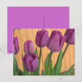 Tulip Garden Briefkaart (Voorkant / Achterkant)