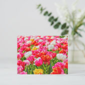 Tulip Garden Briefkaart (Staand voorkant)