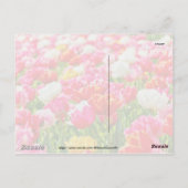 Tulip Garden Briefkaart (Achterkant)