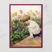 Tulip Garden Briefkaart (Voorkant)