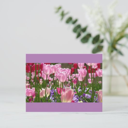 Tulip Garden Briefkaart (Staand voorkant)