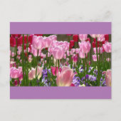 Tulip Garden Briefkaart (Voorkant)