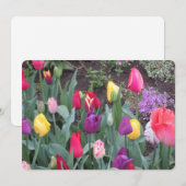 Tulip Garden Flat Holiday Kaart (Voorkant / Achterkant)