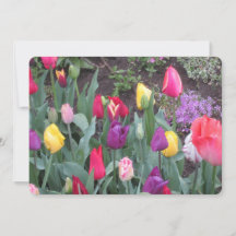 Tulip Garden Flat Holiday Kaart
