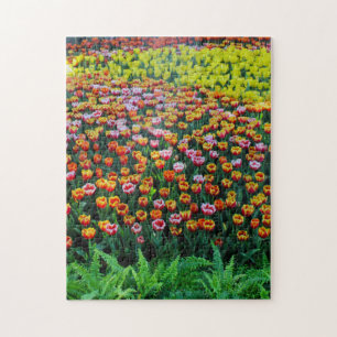 Tulip Garden Legpuzzel
