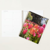 Tulip Garden Planner (Display)