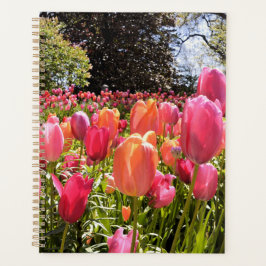 Tulip Garden Planner