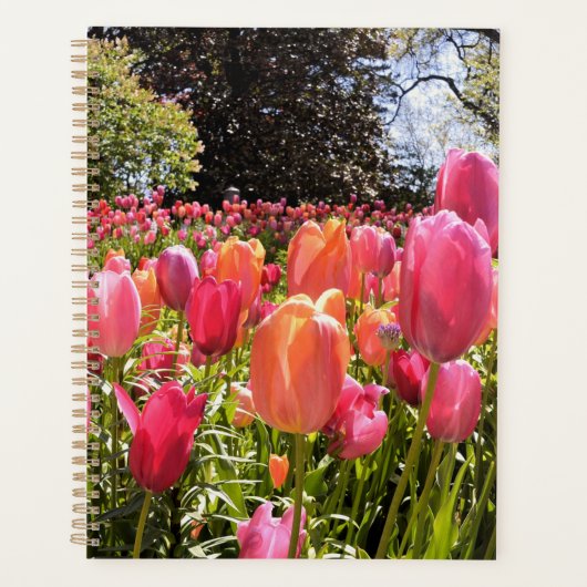 Tulip Garden Planner (Voorkant)