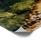 Tulip Garden Poster (Hoek)