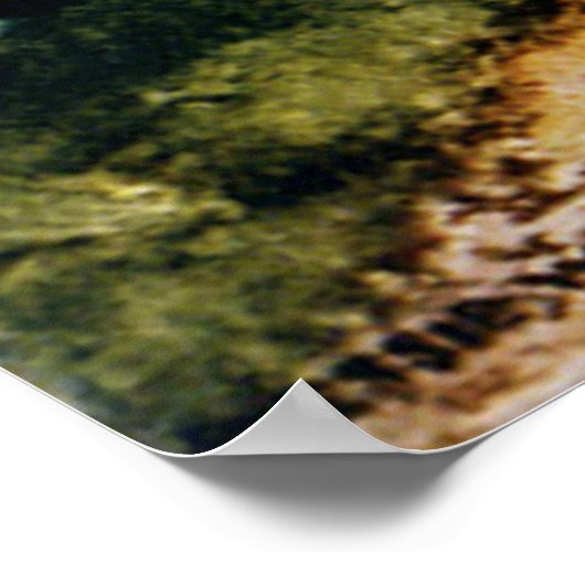 Tulip Garden Poster (Hoek)