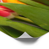 Tulip Garden Poster (Hoek)