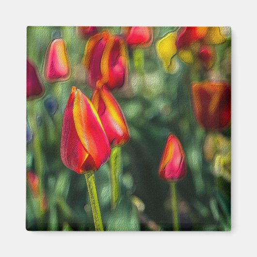 Tulip Garden Textured Magneet (Voorkant)