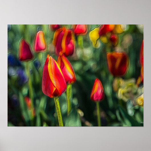 Tulip Garden Textured Poster (Voorkant)
