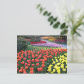 Tulip Gardens Briefkaart (Staand voorkant)