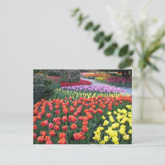 Tulip Gardens Briefkaart (Staand voorkant)