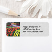 Tulip Gardens Etiket (Insitu)