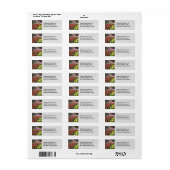 Tulip Gardens Etiket (Full Sheet)