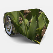 Tulip Gardens op het Stropdas Elizabeth Park (Opgerold)