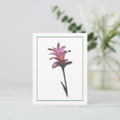 Tulip Ginger Botanisch Briefkaart met fotoketch (Staand voorkant)