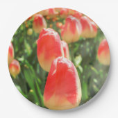 Tulip Heaven Bord (Voorkant)