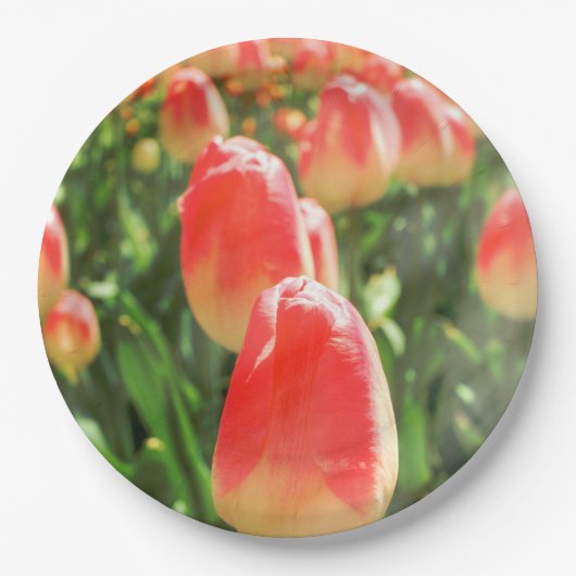 Tulip Heaven Bord (Voorkant)