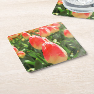 Tulip Heaven Kartonnen Onderzetters