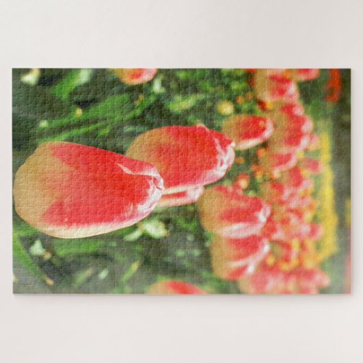Tulip Heaven Legpuzzel (Horizontaal)