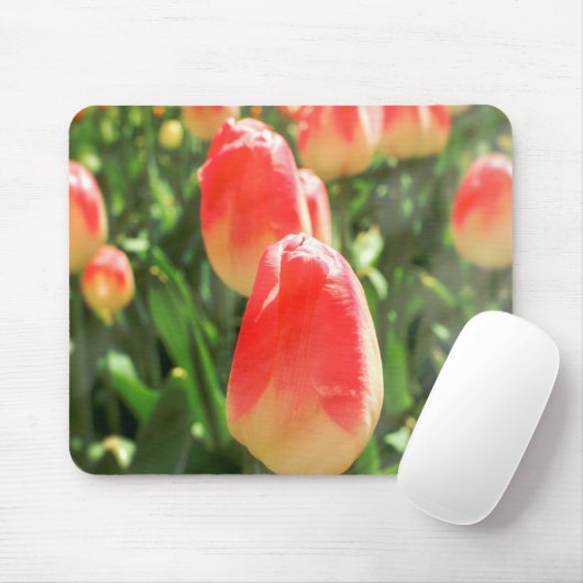 Tulip Heaven Muismat (Met muis)