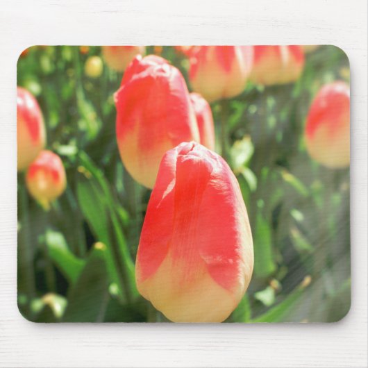 Tulip Heaven Muismat (Voorkant)