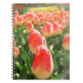 Tulip Heaven Notitieboek (Voorkant)