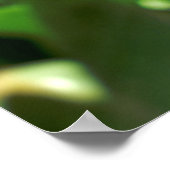 Tulip Heaven Poster (Hoek)