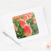 Tulip Heaven Vierkante Sticker (Envelop)