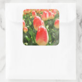 Tulip Heaven Vierkante Sticker (Tas)
