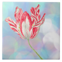  Tulip keramische tapijten