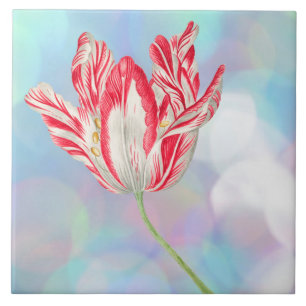 Tulip keramische tapijten Tegeltje