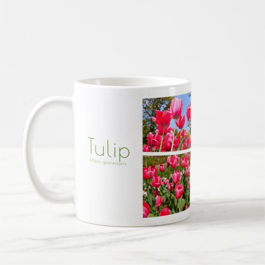 Tulip Koffiemok (Links)