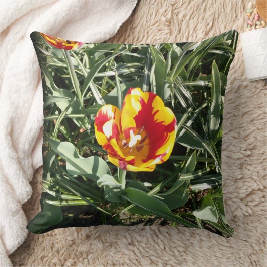 Tulip  kussen (Deken)